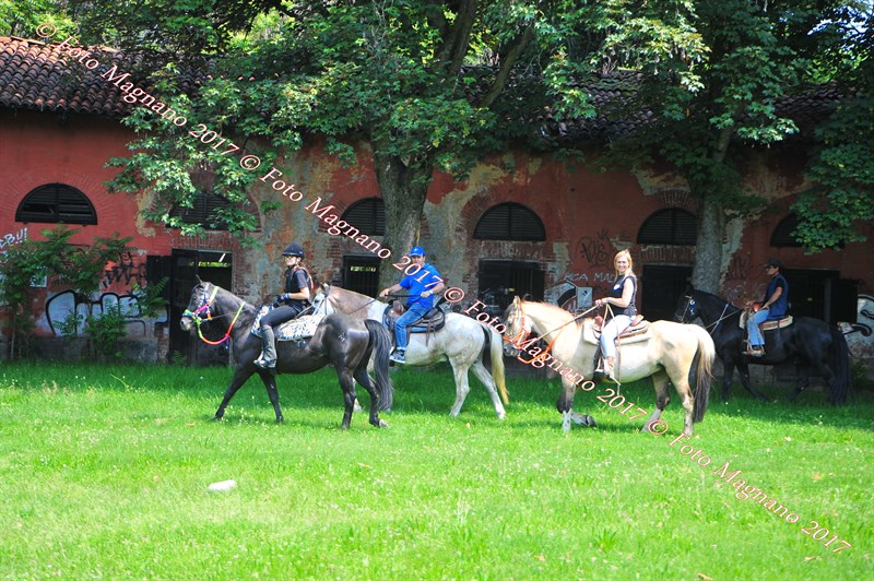 DSC_0937.JPG